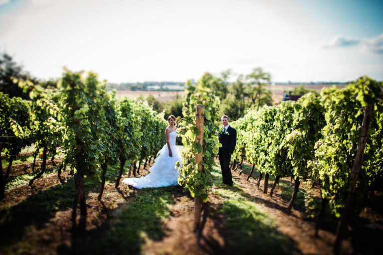 Hochzeit im Eventhaus Falkenberg